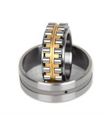 Cylindrical roller bearings double row